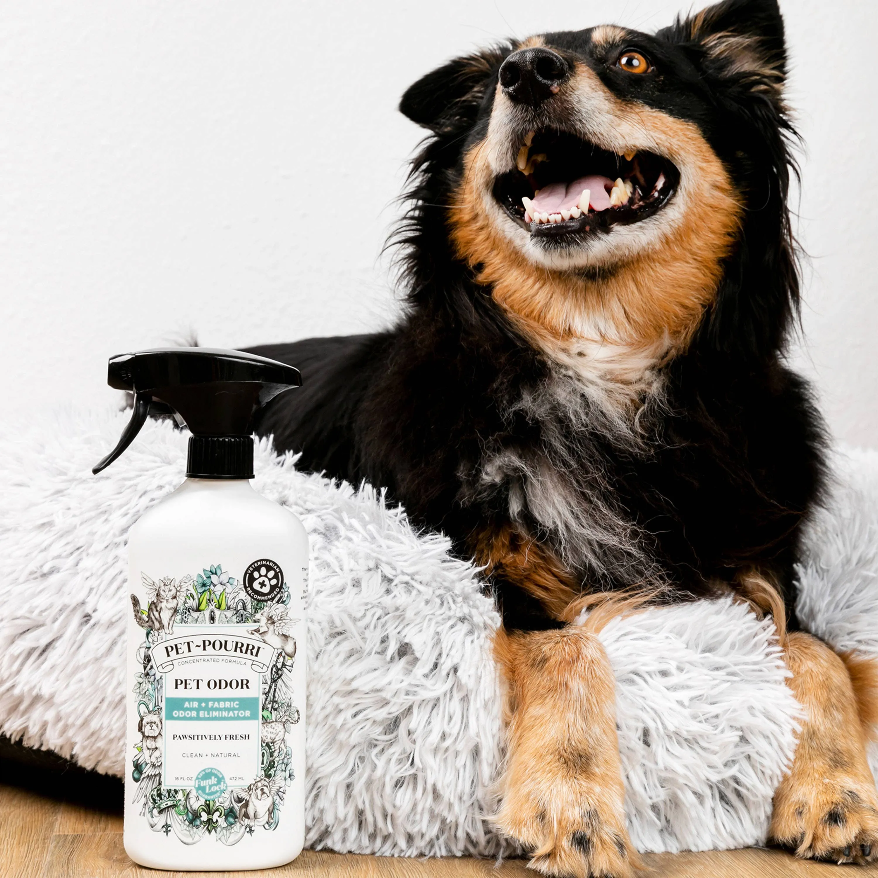 Pet~Pourri Pawsitively Fresh Air   Fabric Odor Eliminator