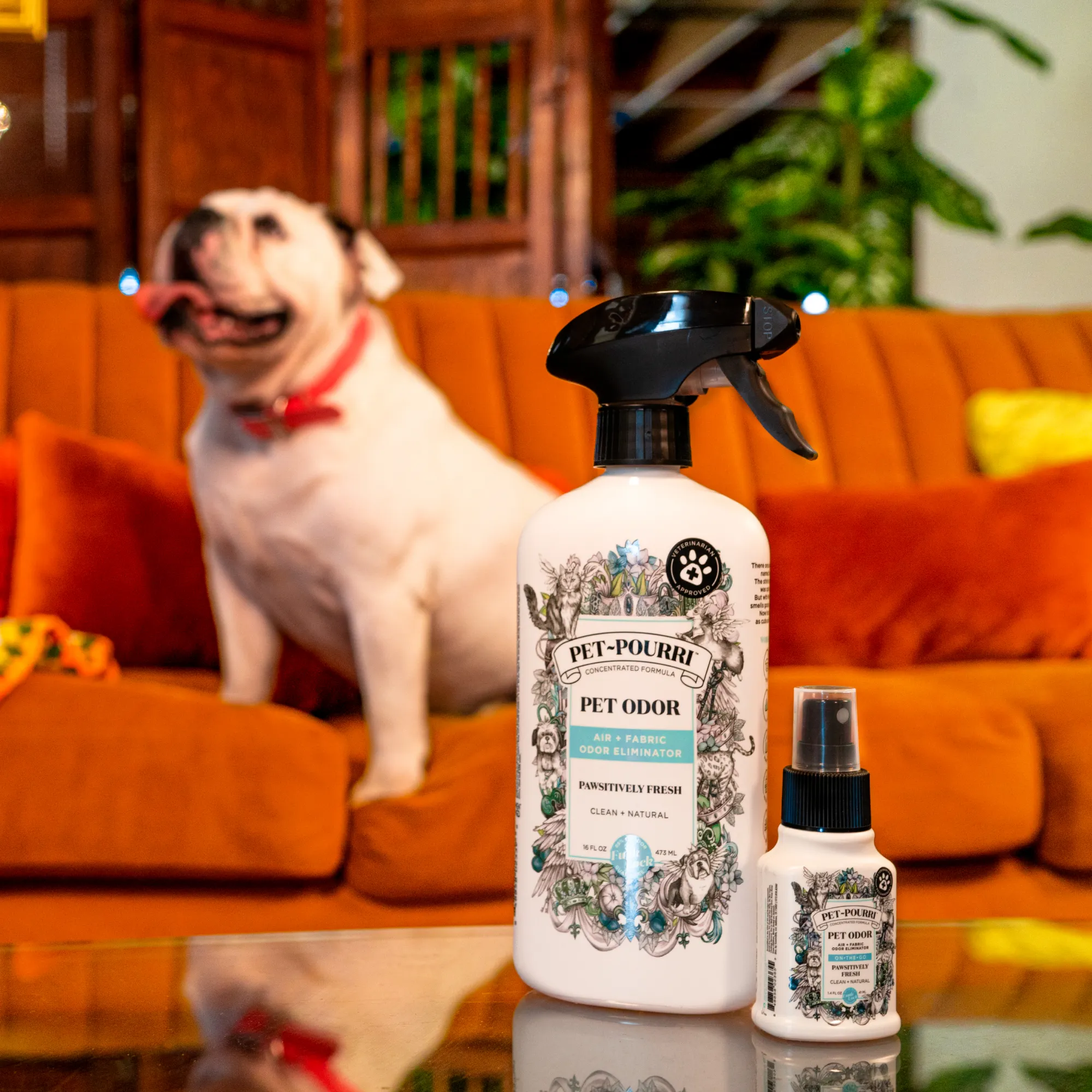 Pet~Pourri Pawsitively Fresh Air   Fabric Odor Eliminator