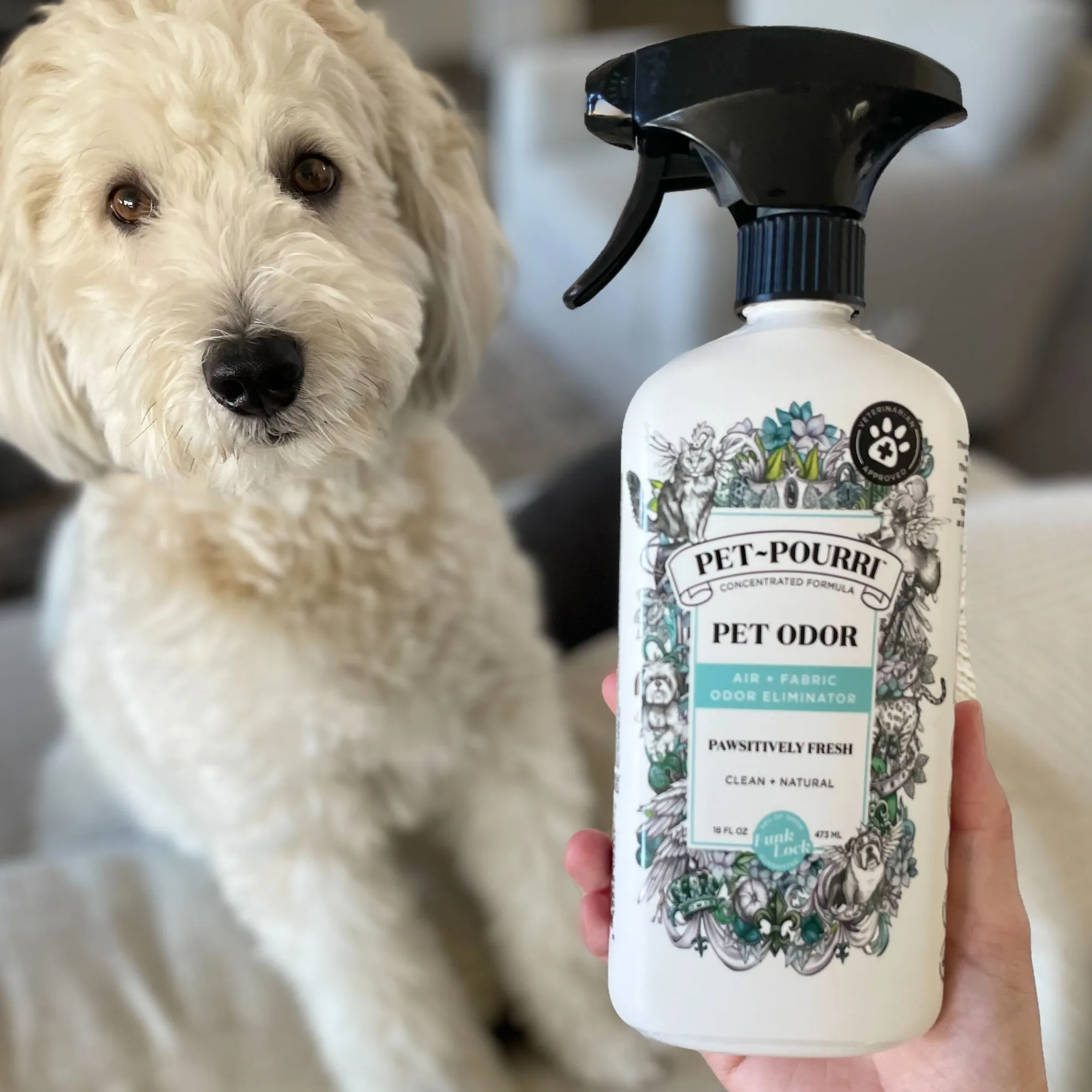 Pet~Pourri Pawsitively Fresh Air   Fabric Odor Eliminator