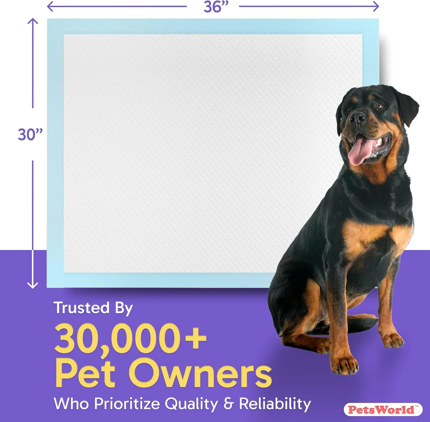 PetsWorld XL Dog Pee Pads 30"x36", 300-Count  Heavy Duty, Leak-Proof Potty Training Pads for Puppies & Large Dogs, Super Absorbent, Quick-Dry Disposable Pads with Odor Control
