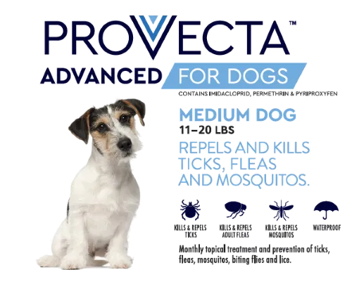 Provecta Advanced for Dogs