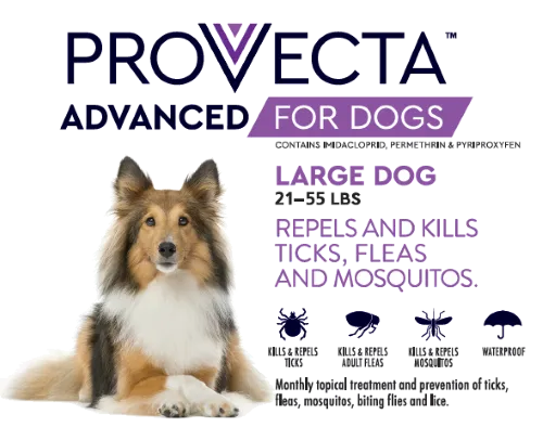 Provecta Advanced for Dogs