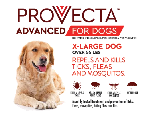Provecta Advanced for Dogs