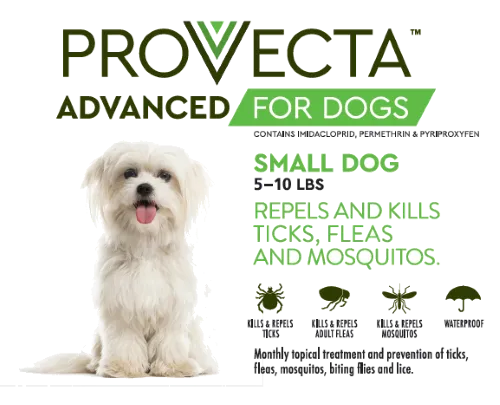 Provecta Advanced for Dogs