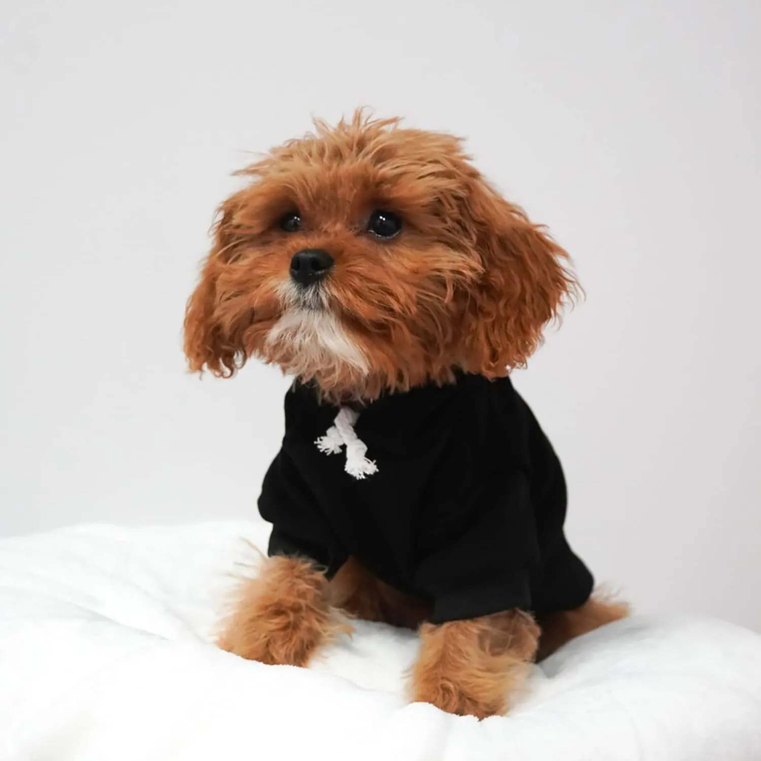 Ring Security Wedding Dog Hoodie Fleece Lined Pullover Sweatshirt with Leash Hole (Grey, Medium 433)