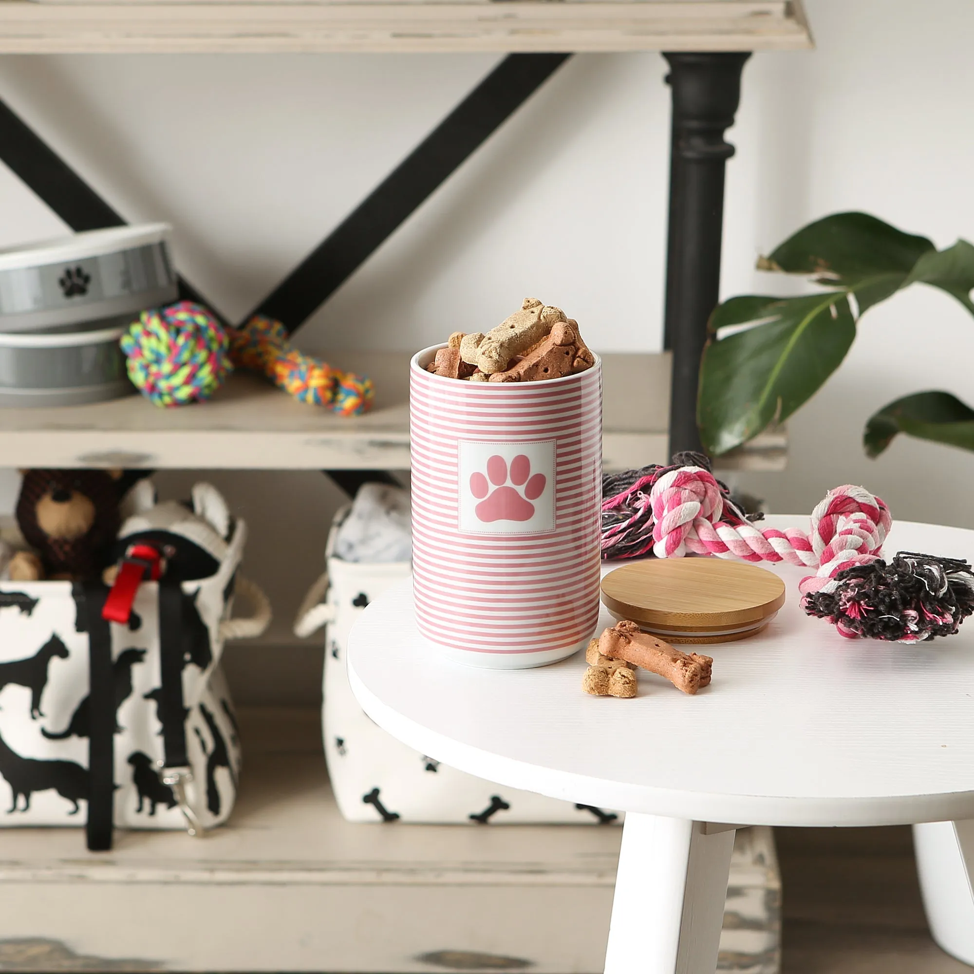 Rose Striped Paw Patch Pet Treat Canister - 4.5 Cup Capacity