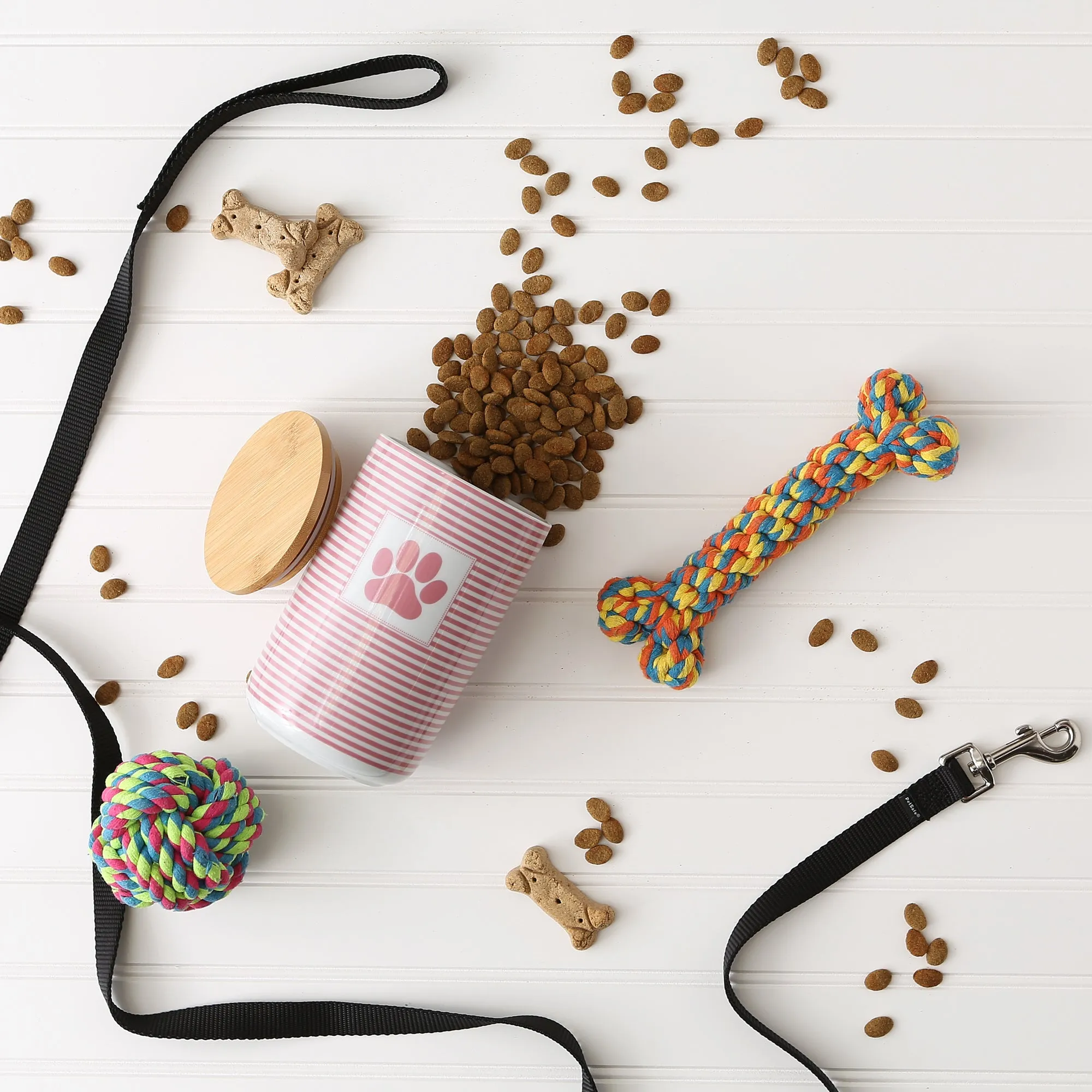 Rose Striped Paw Patch Pet Treat Canister - 4.5 Cup Capacity