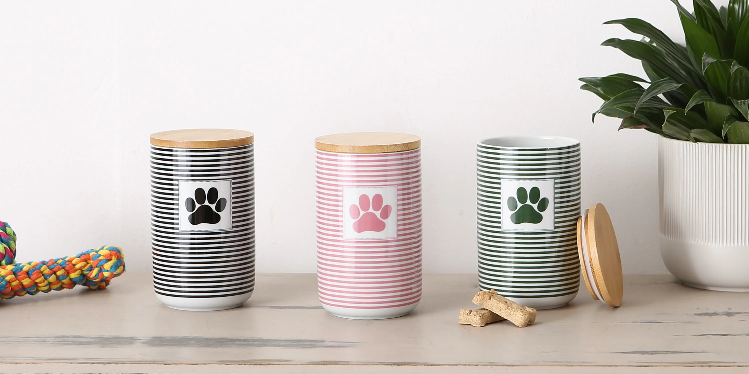 Rose Striped Paw Patch Pet Treat Canister - 4.5 Cup Capacity