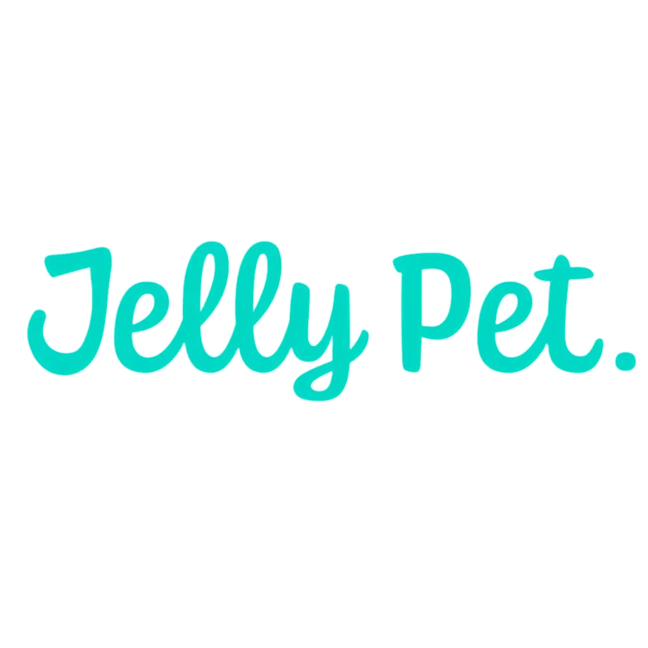 Small Firm Slicker Brush by Jelly Pet