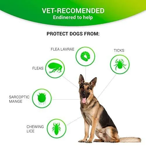 SOBAKEN Flea and Tick Prevention for Dogs, Natural Flea and Tick Collar for Dogs, One Size Fits All, 25 inch, 8 Month Protection, Charity