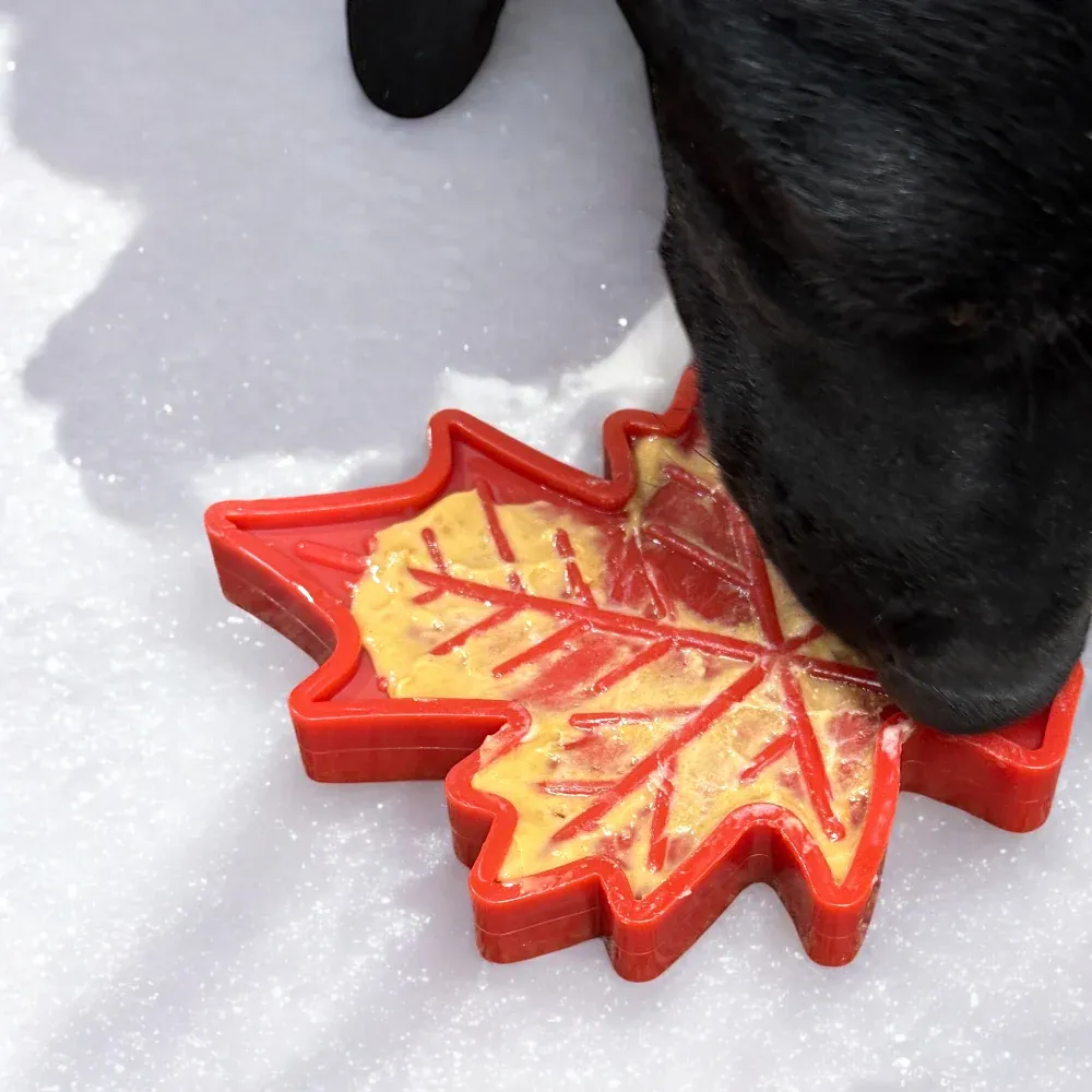 SodaPup Canadian Maple Leaf