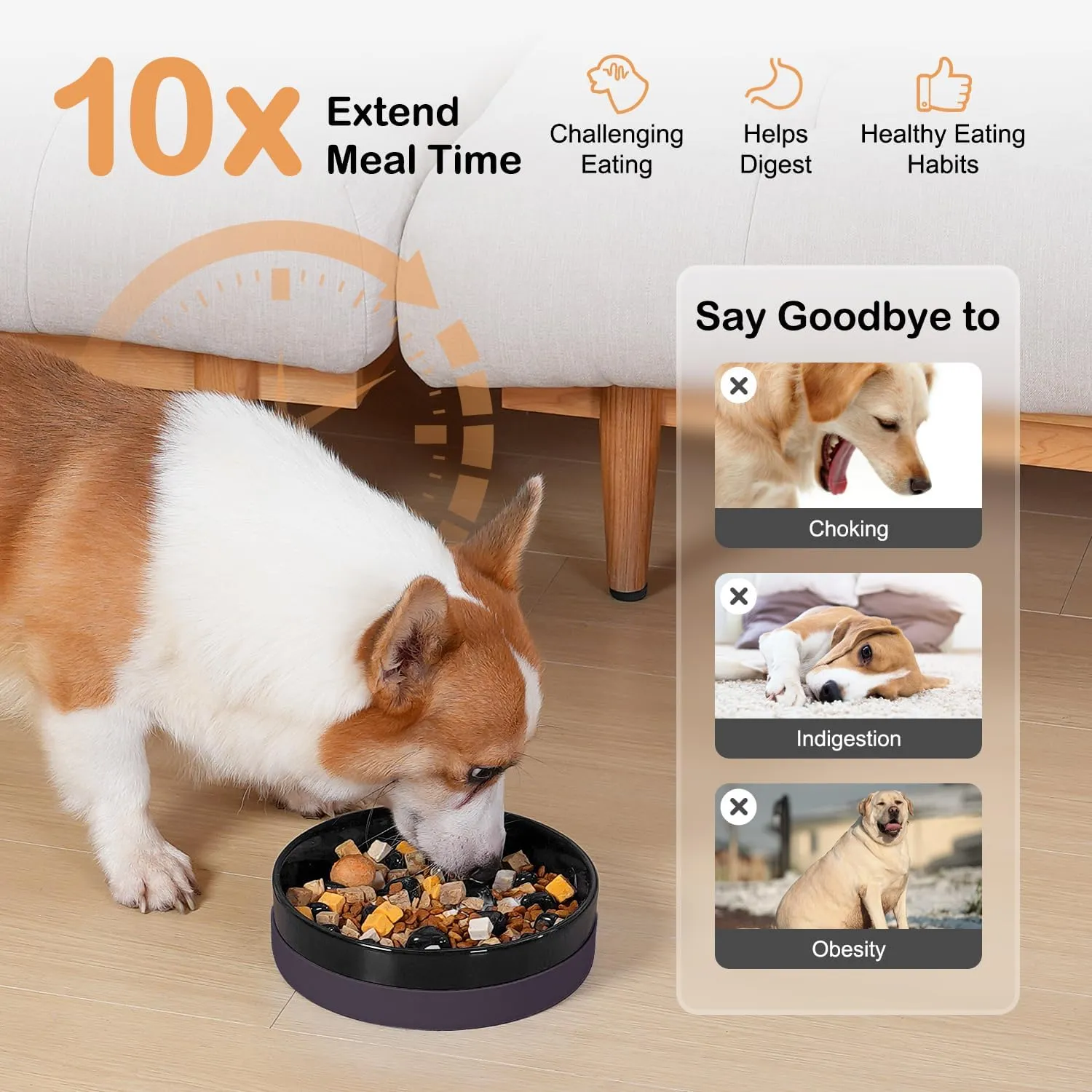 Sted Ceramic Slow Feeding Dog Bowl with Silicone Base, Small Medium Breed, Slow Down Eating, Puzzle Dog Food Bowl, Maze Black