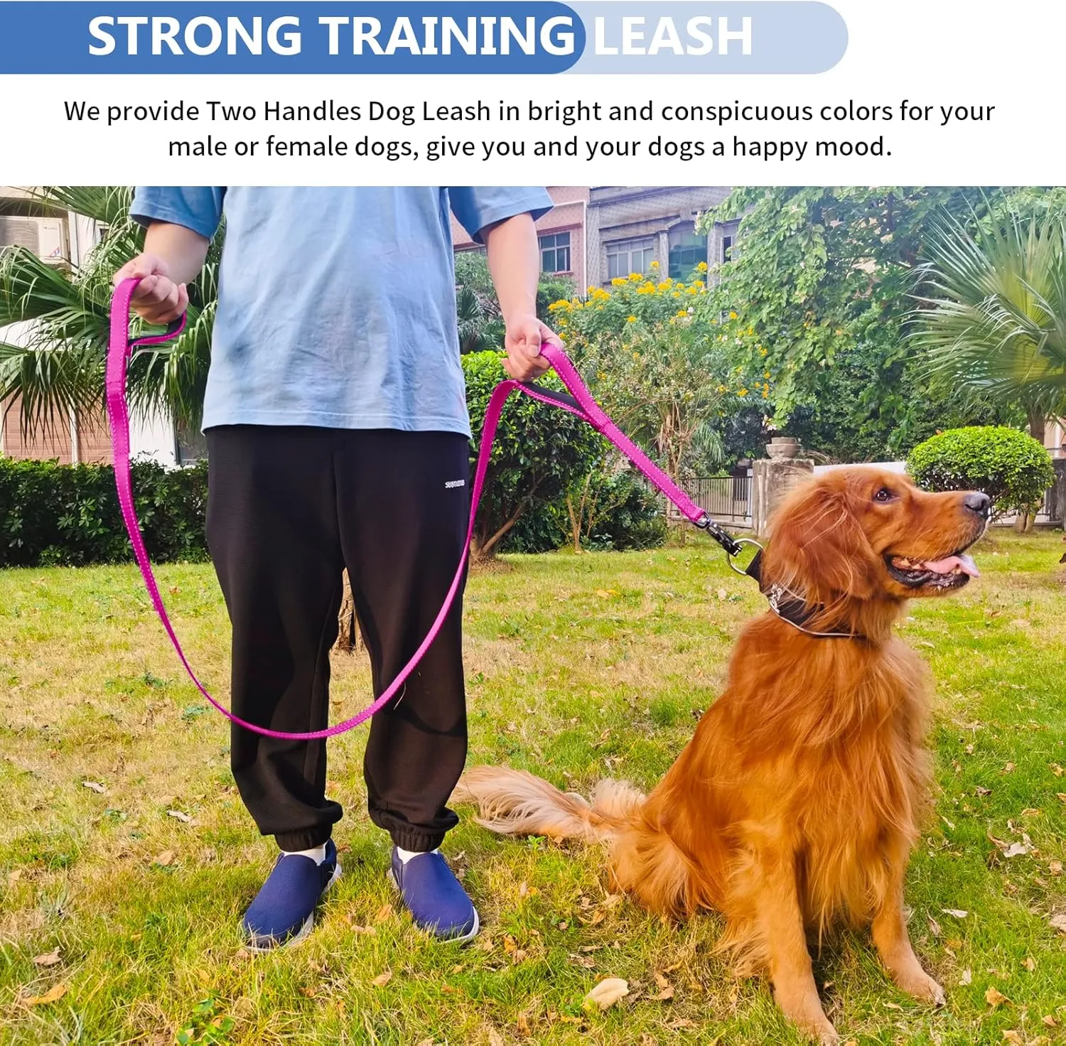 Strong Heavy Duty Dog Leash - 6ft Reflective Nylon Training Leash with Soft Padded Double Handle & Auto Lock Frog Clip, Safety Traffic Control for Large Medium Small Dogs No Pull Walking (HotPink,6ft)