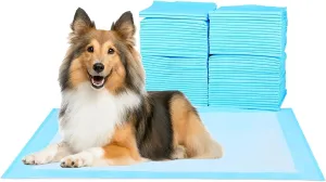 Super Absorbent Waterproof Dog and Puppy Pet Training Pad, Housebreaking Pet Pad, 200-Count Medium-Size, 23.6X23.6