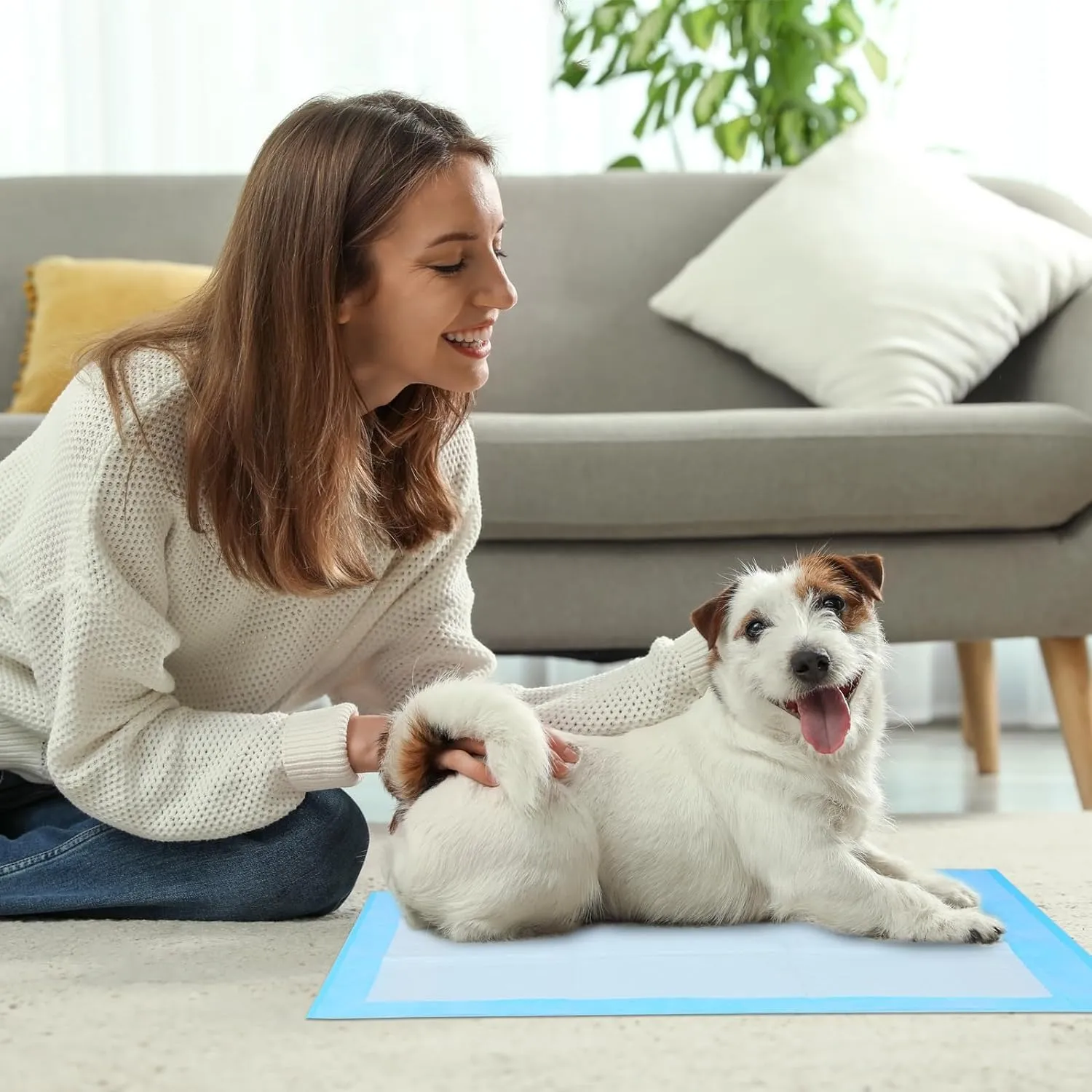 Super Absorbent Waterproof Dog and Puppy Pet Training Pad, Housebreaking Pet Pad, 200-Count Medium-Size, 23.6X23.6