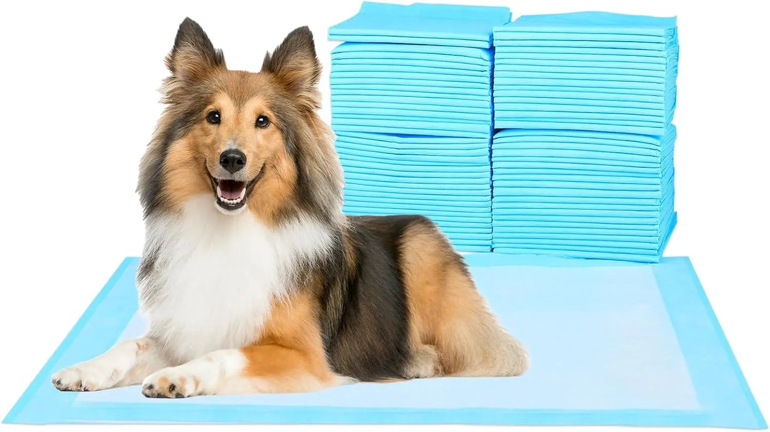 Super Absorbent Waterproof Dog and Puppy Pet Training Pad, Housebreaking Pet Pad, 200-Count Medium-Size, 23.6X23.6