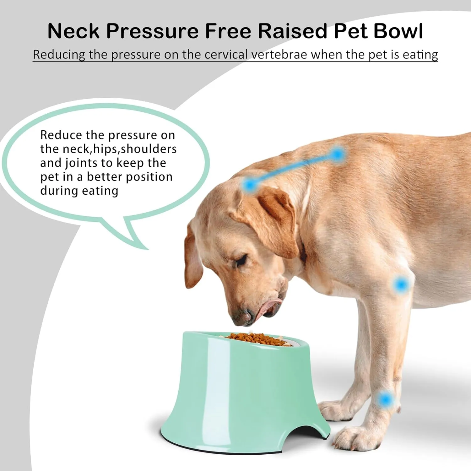 Tilted Elevated Dog Bowls Non-Slip & Non-Spill Pet Feeder with Elevated Detachable Melamine Stand, High Capacity Tilted Dog Bowl for Medium Small Size Dogs M/2 Cup Green