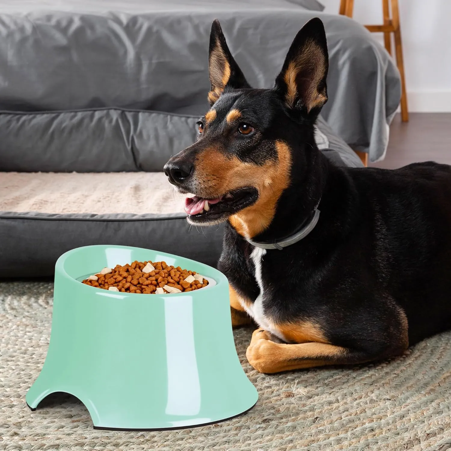 Tilted Elevated Dog Bowls Non-Slip & Non-Spill Pet Feeder with Elevated Detachable Melamine Stand, High Capacity Tilted Dog Bowl for Medium Small Size Dogs M/2 Cup Green