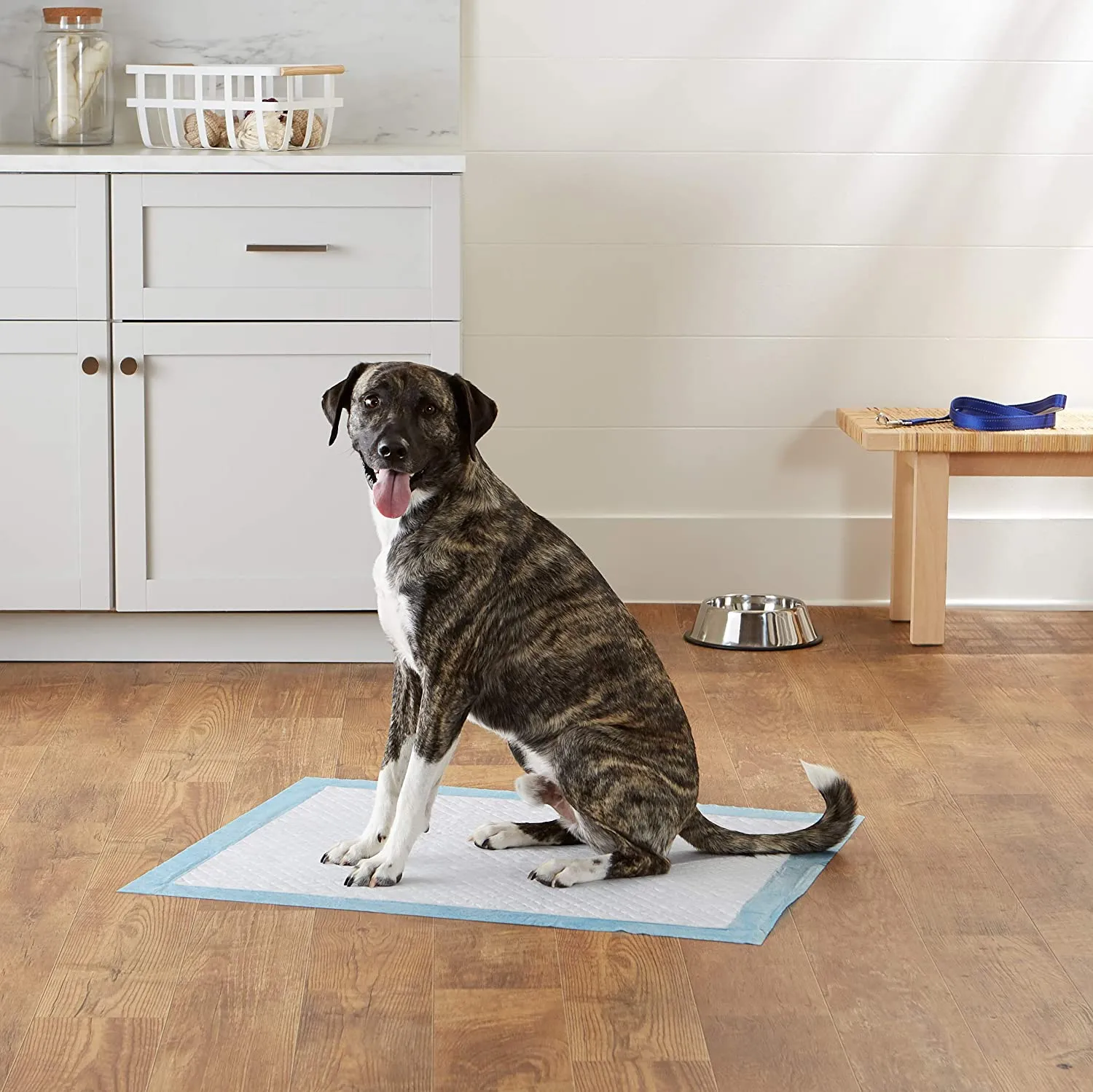 🐶Training Pads, Pack of 100 (22-inch X  23-inch)