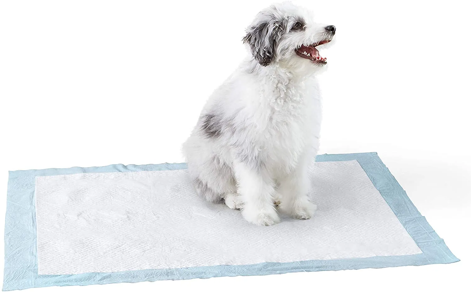 🐶Training Pads, Pack of 100 (22-inch X  23-inch)
