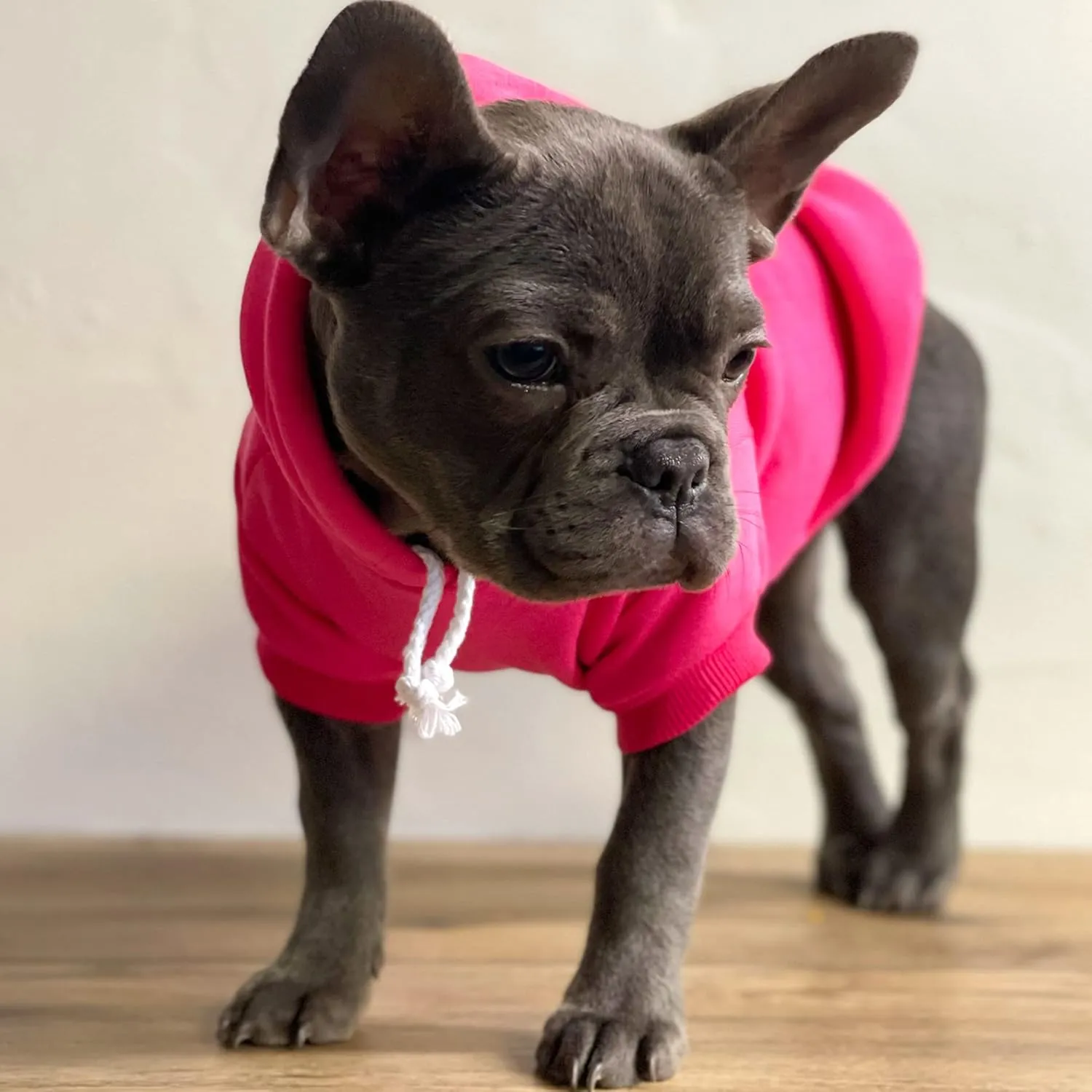 We Do Too Wedding Engagement Announcement Dog Hoodie Fleece Lined Pullover Sweatshirt with Leash Hole (Red, 4X-Large 81)
