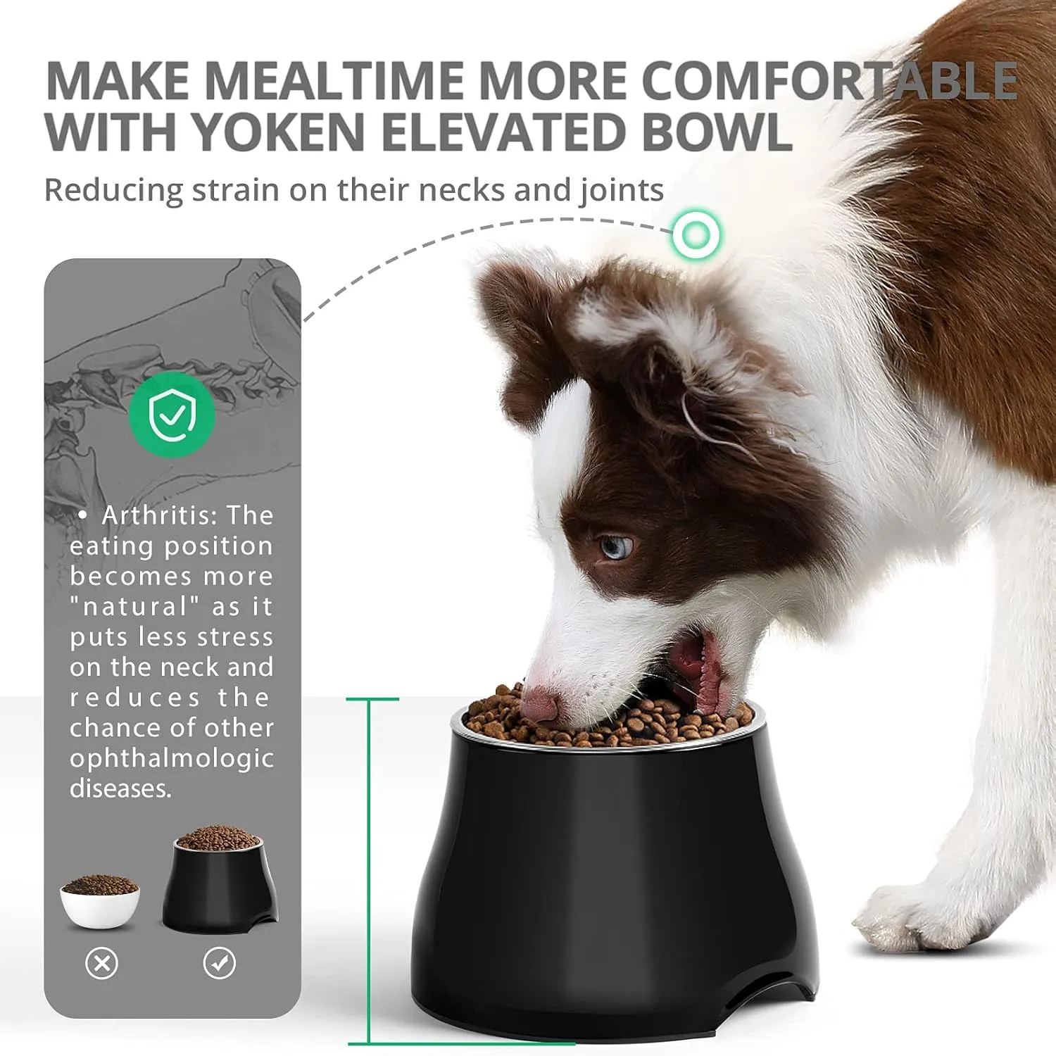 yoken Elevated Dog Bowls,[Prevention of Vertebrae Disease] Non-Slip,Stainless Steel Bowl,High Capacity,for Medium/Small Size Dogs