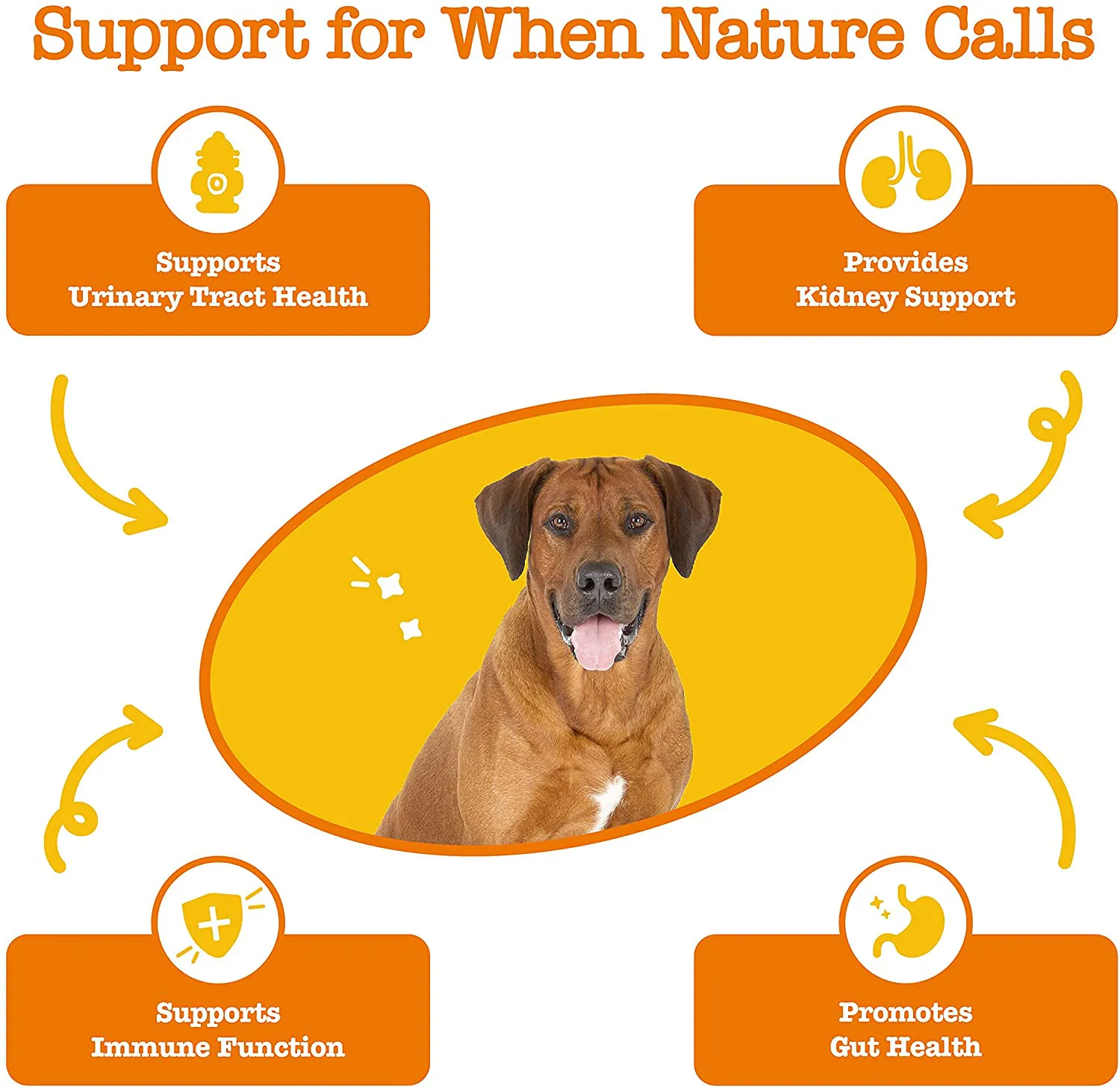 Zesty Paws Cranberry Bites for Dogs - Kidney, Bladder & Urinary Tract (UT) Support - Functional Dog Supplement with D Mannose, Marshmallow & Organic Astragalus - Immune System Support for Canine Pets