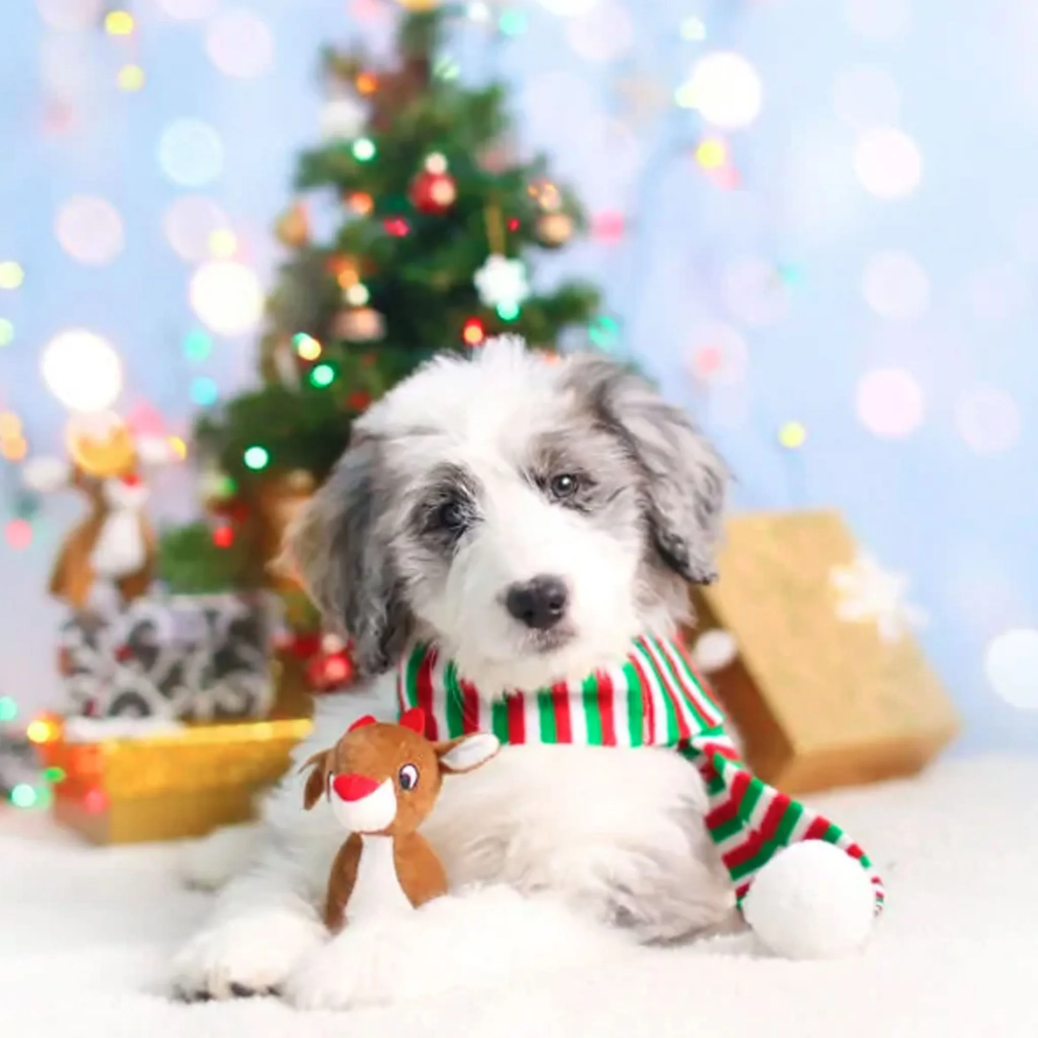 Zippy Paws Miniz Reindeer Dog Toy