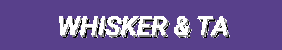 Pet Beds, Health, Toys & Accessories – Shop Whisker & Tail Essentials